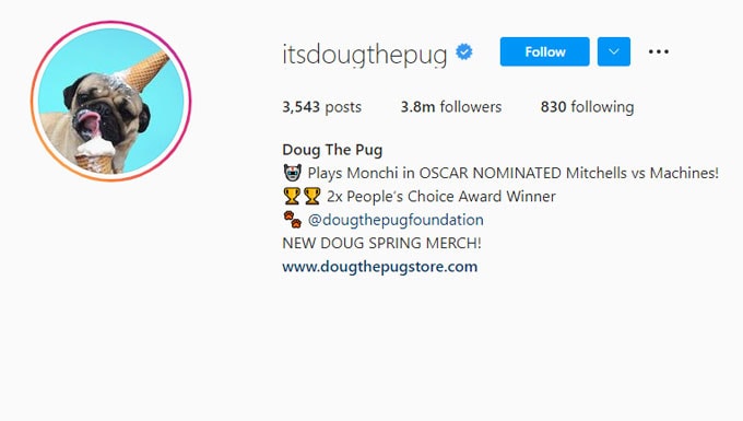 Doug the Pug