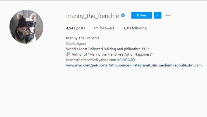 Manny The Frenchie