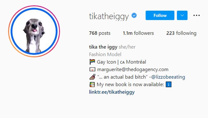 Tikatheiggy