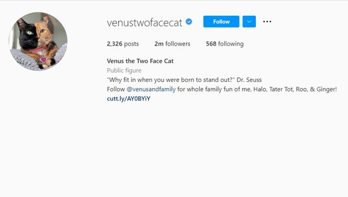venustwofacecat