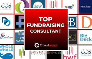 Top Fundraising Consultant