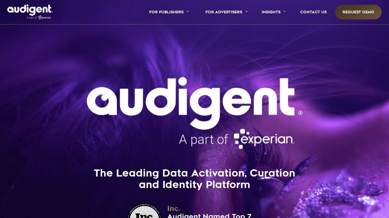 Audigent data activation curation and identity platform homepage