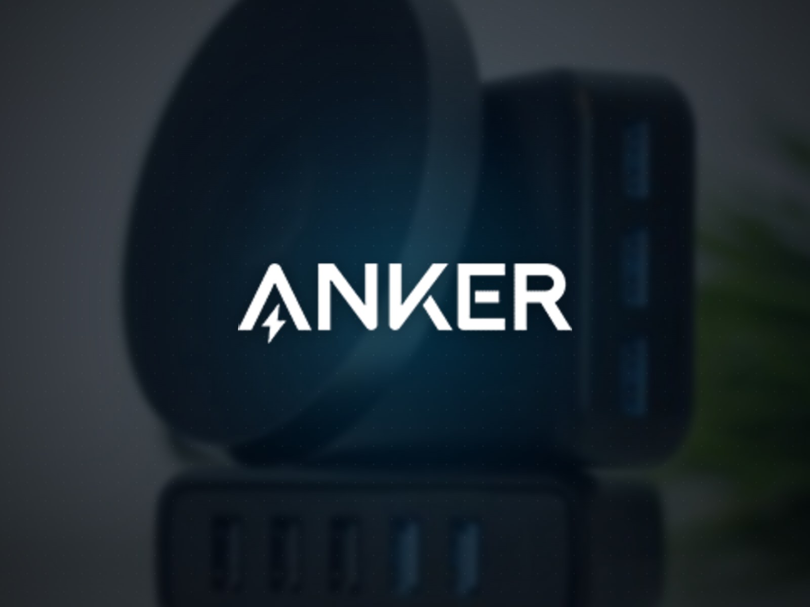 Anker case study